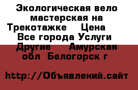 Экологическая вело мастерская на Трекотажке. › Цена ­ 10 - Все города Услуги » Другие   . Амурская обл.,Белогорск г.